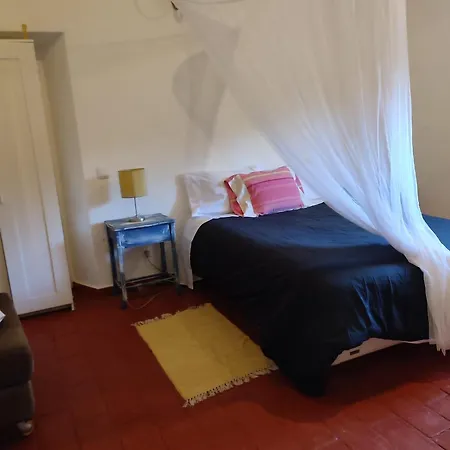 Holiday home Monte Funchal *